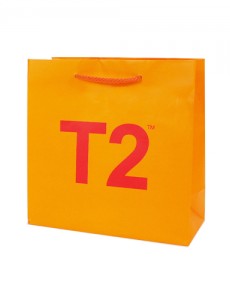 T2/S0001