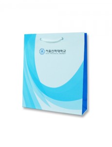 PP브레이드끈+철팁/스노우화이트/무광코팅/S0055