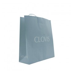 CLOVIS(대)